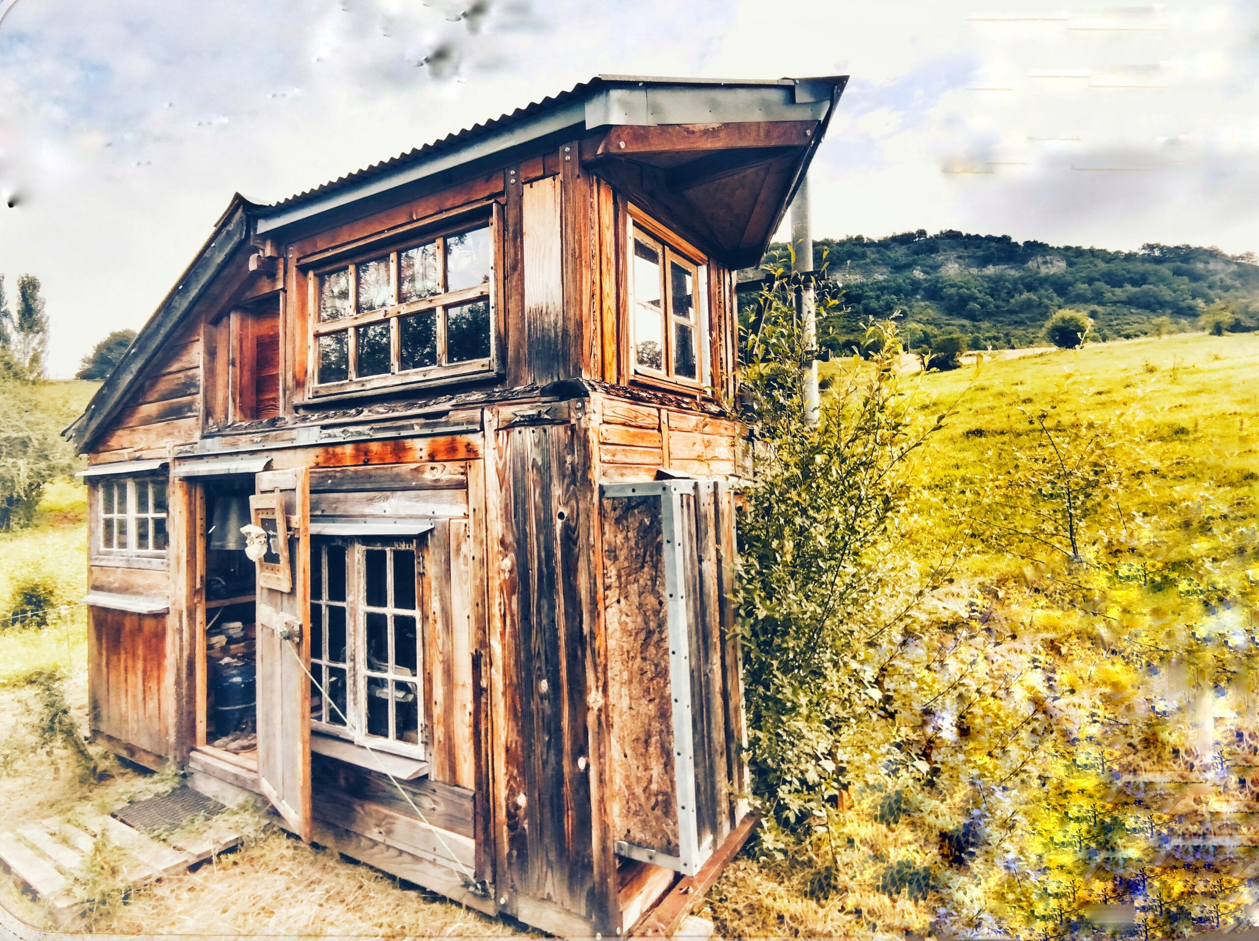 IMG_20240703_092342665-01