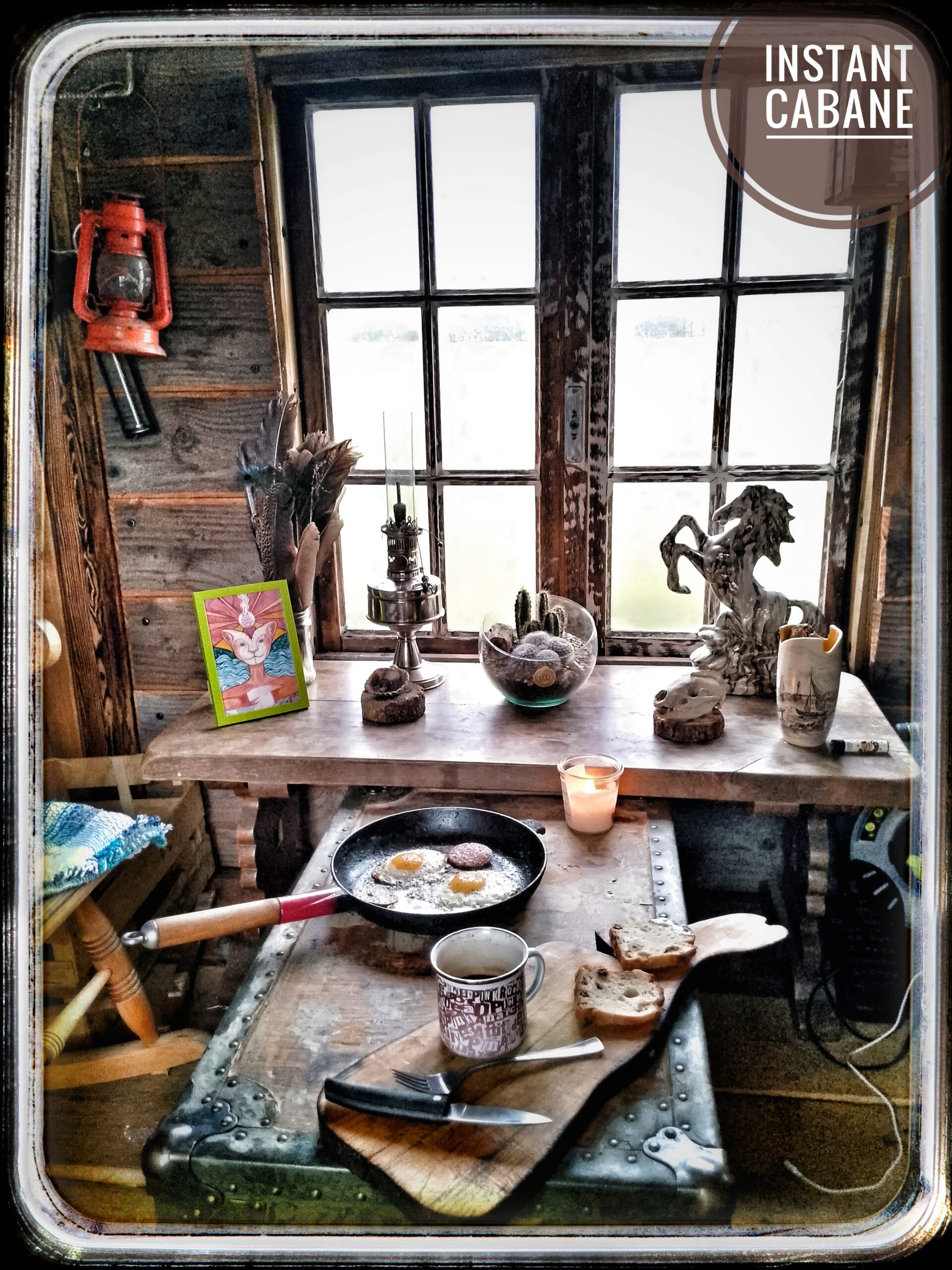 IMG_20241209_093305_966