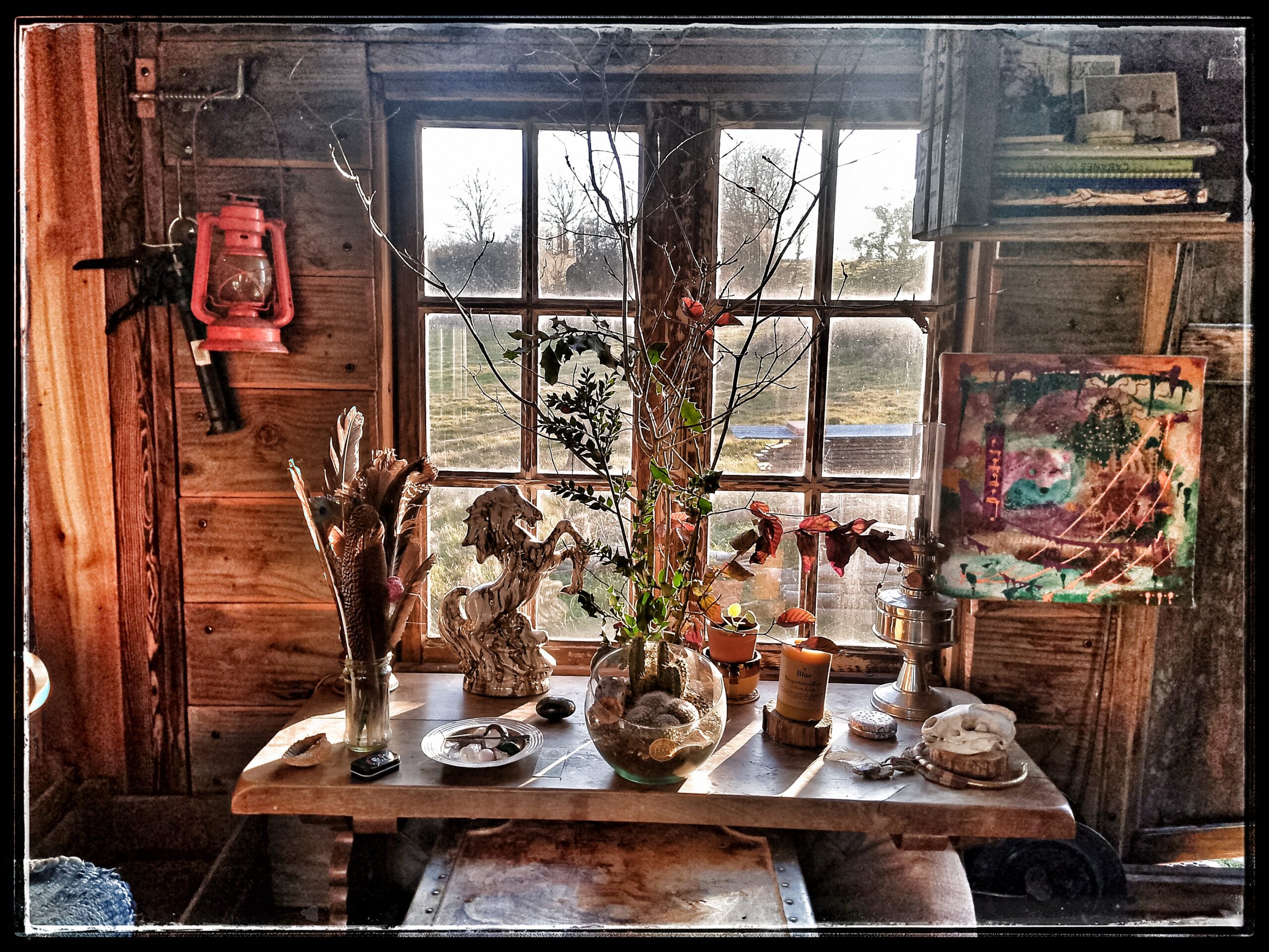 IMG_20250204_171216_771